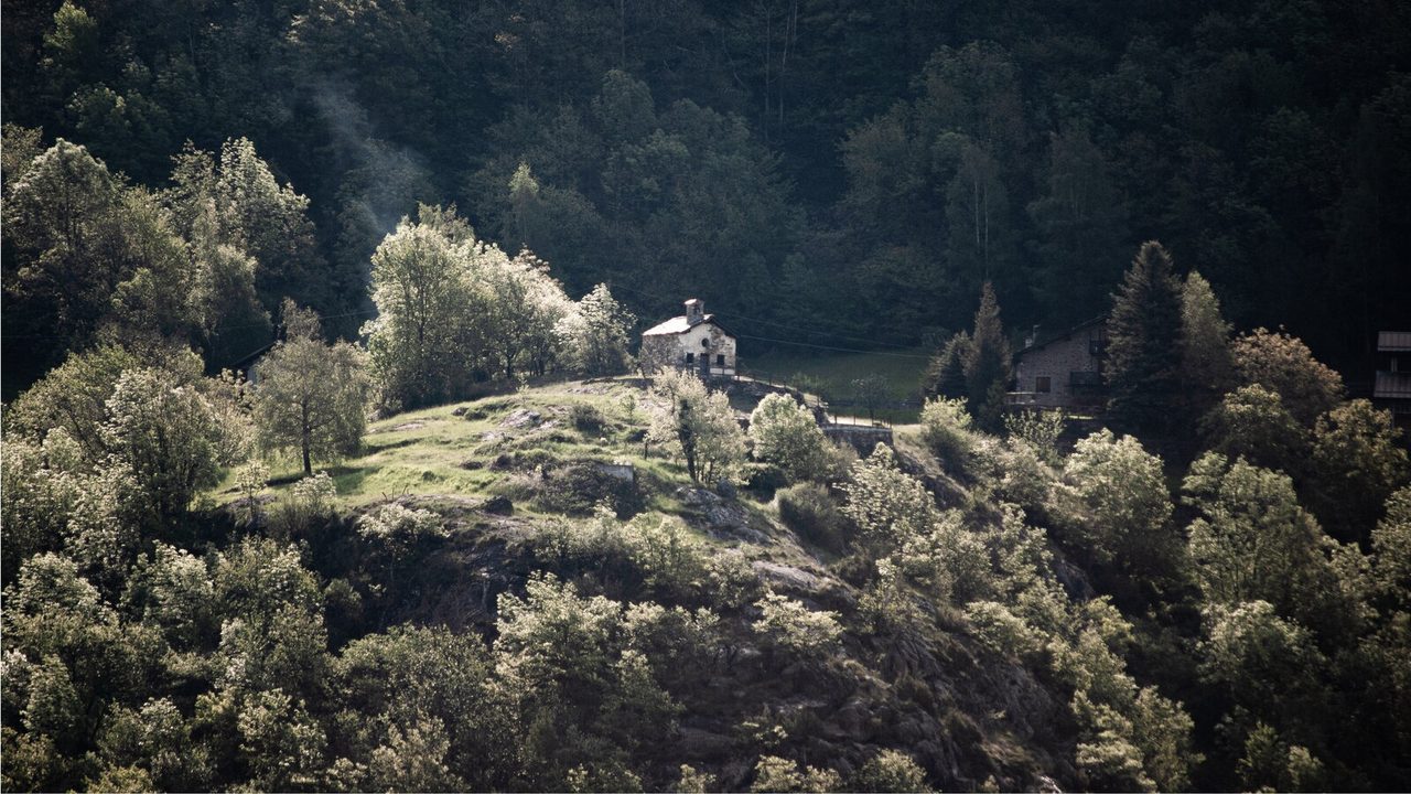 A lone stone house on a sunlit wooded hillside against a dark forest