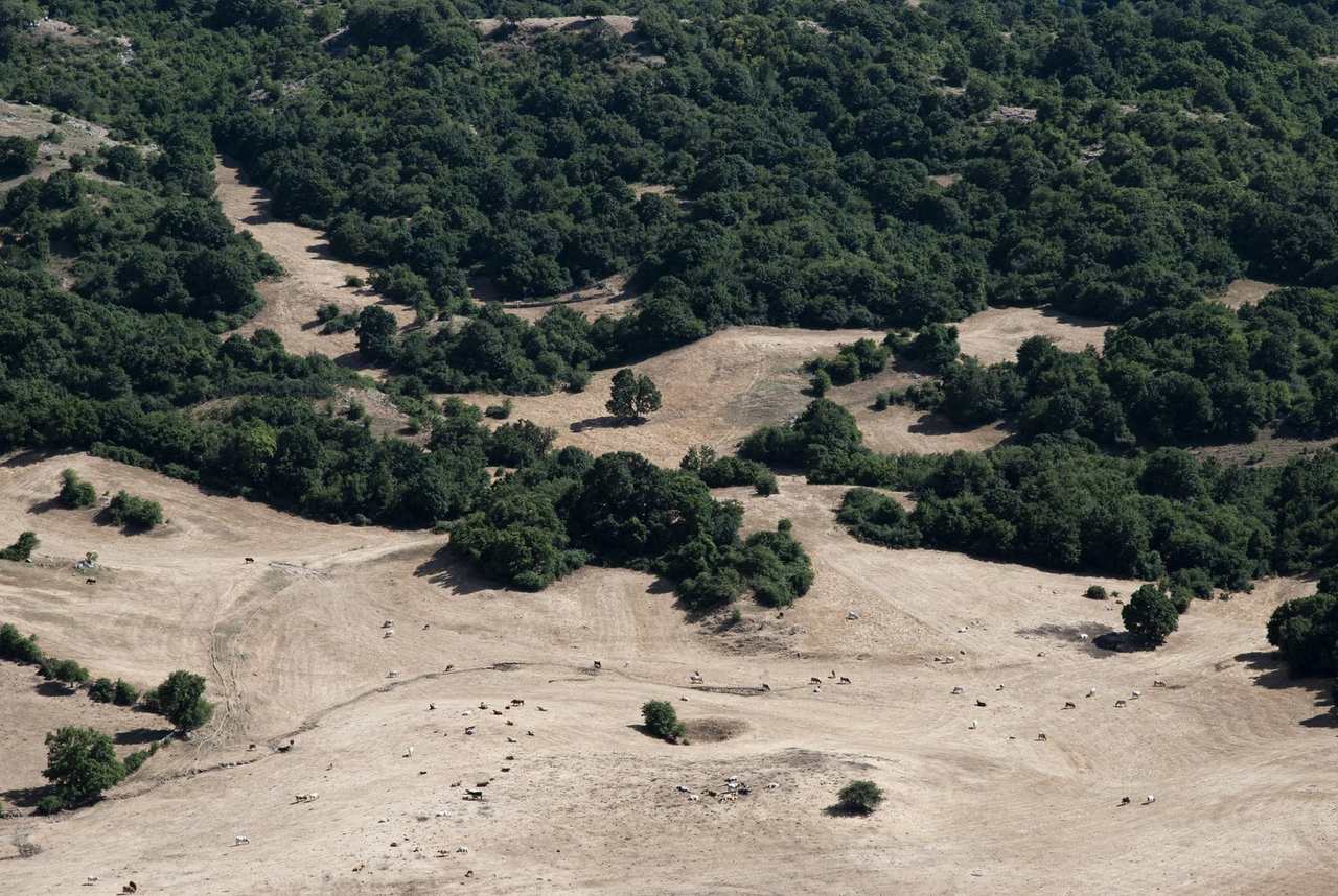 Open pasture and patches of woodland on a hillside, seen from above